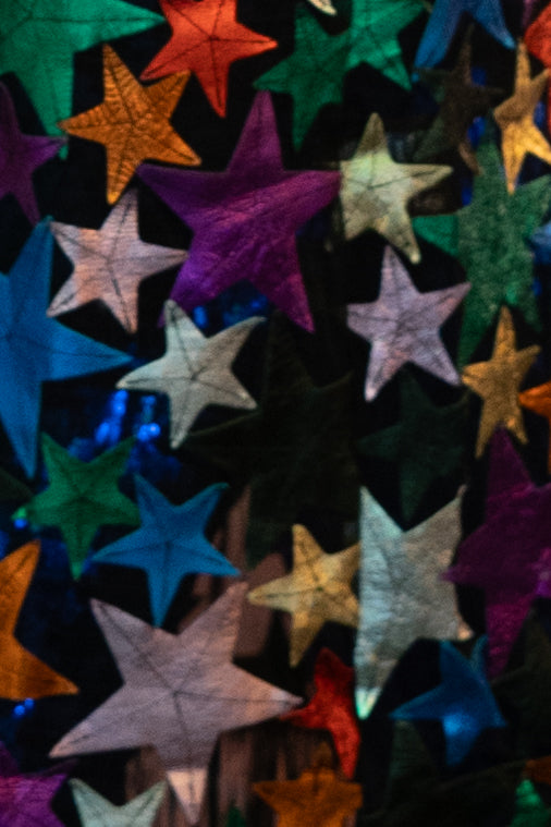 The Multi-Western Metallic Star Jacket